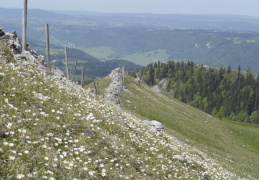 Petit Chasseral