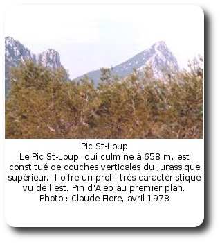 Pic St-Loup