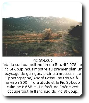 Pic St-Loup