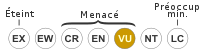 VU