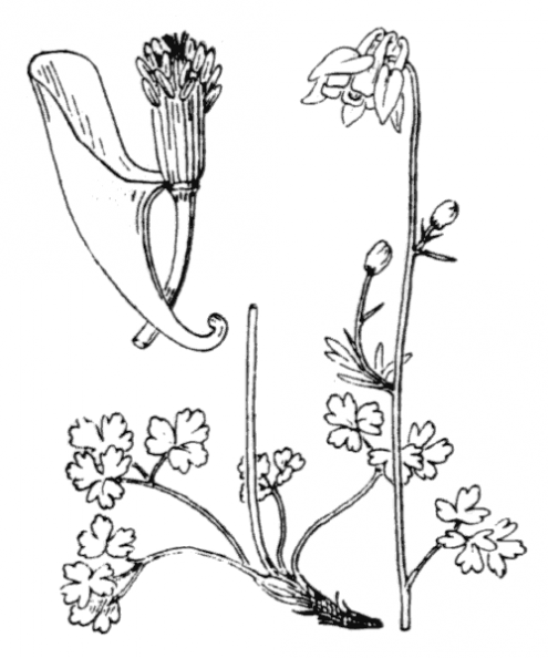 coste_0112.png