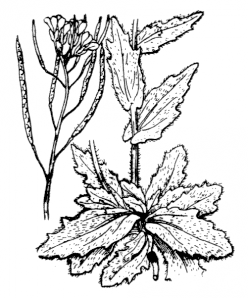 coste_0220.png