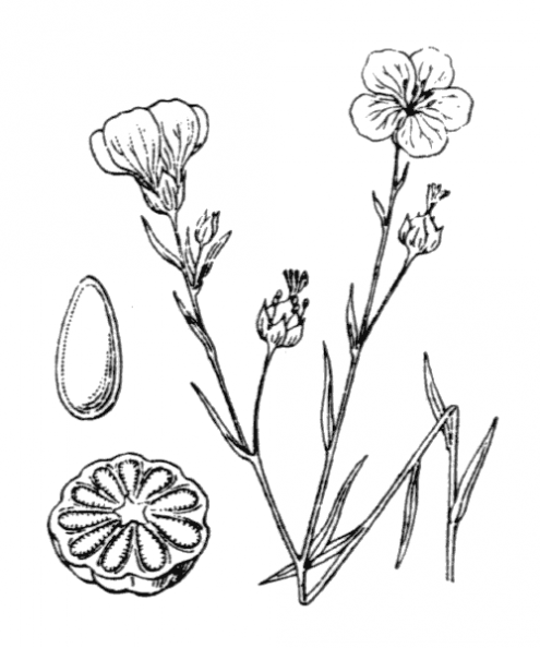 coste_0606.png