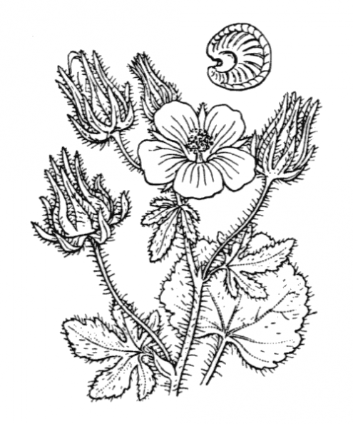 coste_0629.png