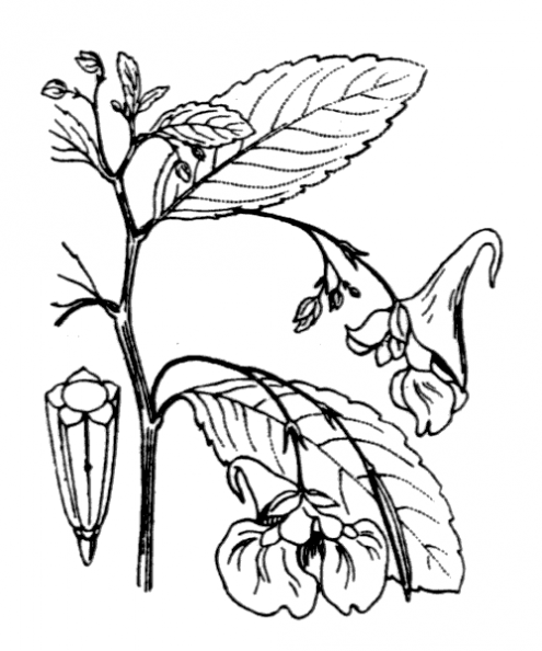 coste_0696.png