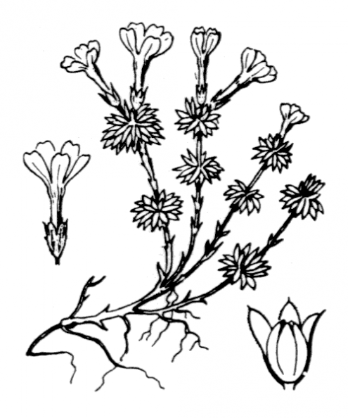 coste_2420.png
