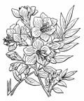 Nom original: Polemonium caeruleum (n°2520)