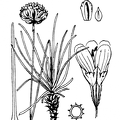 coste_3024.png
