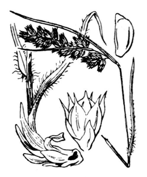 coste_3746.png