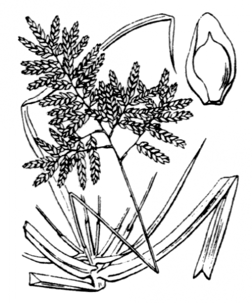 coste_3755.png