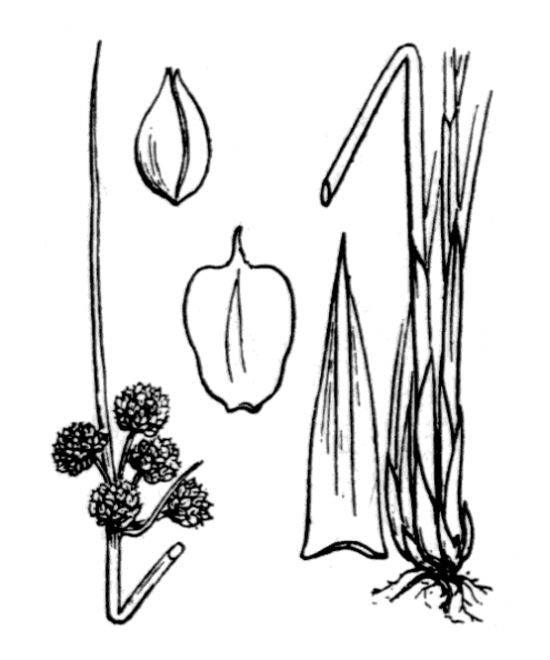 coste_3775.png