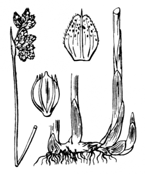 coste_3777.png