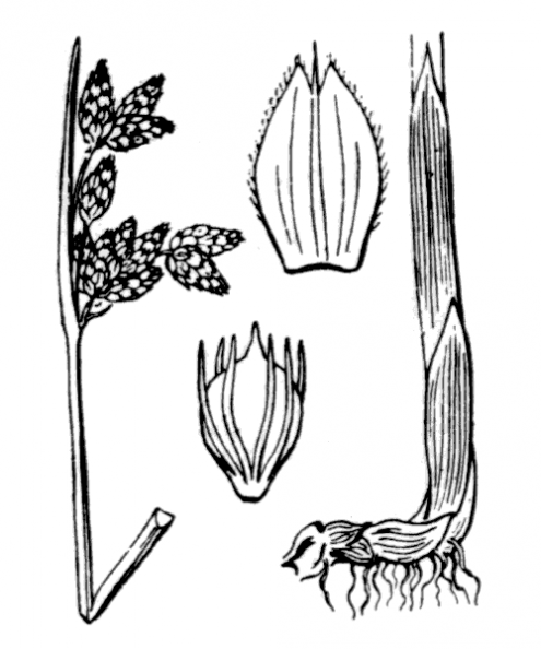 coste_3778.png