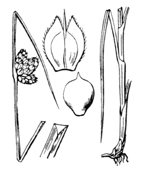 coste_3781.png