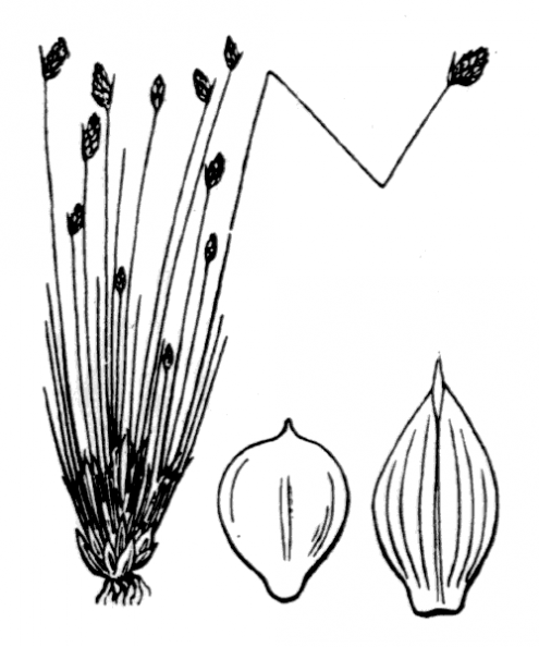 coste_3785.png