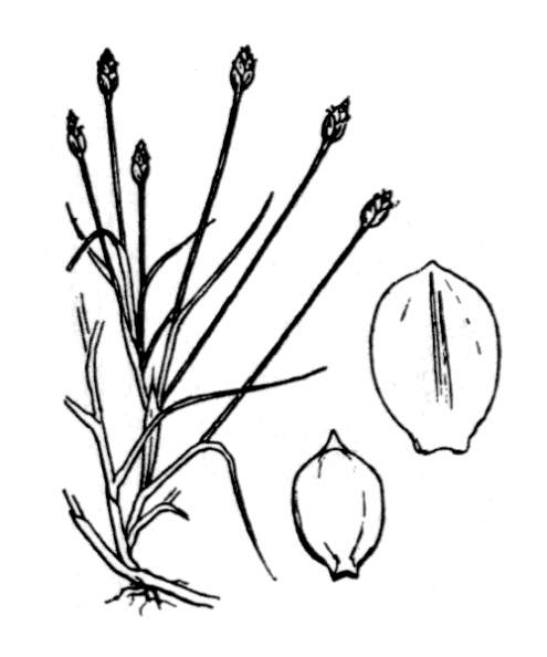 coste_3786.png
