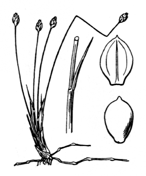 coste_3789.png
