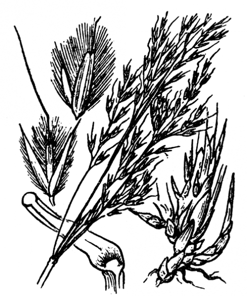 coste_3989.png