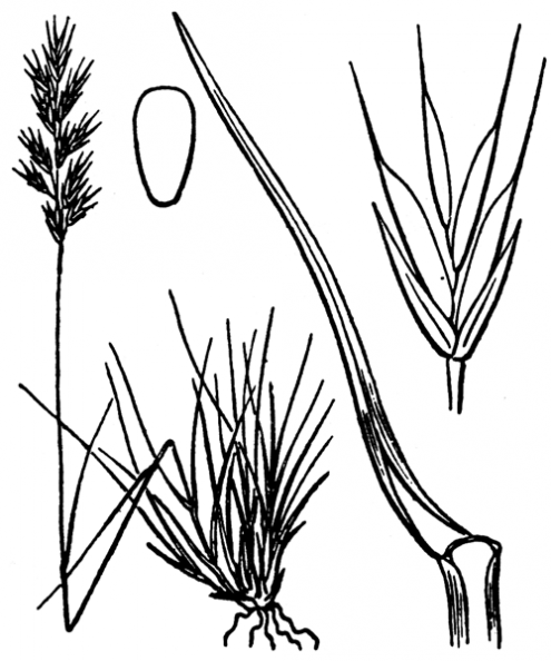 coste_4180.png