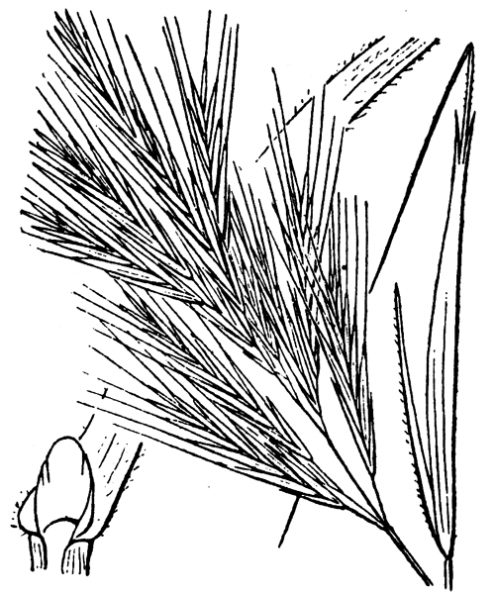 coste_4193.png