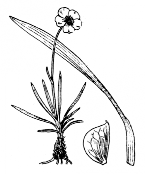 coste_0020.png