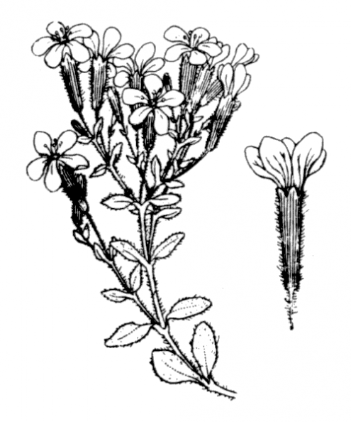 coste_0474.png