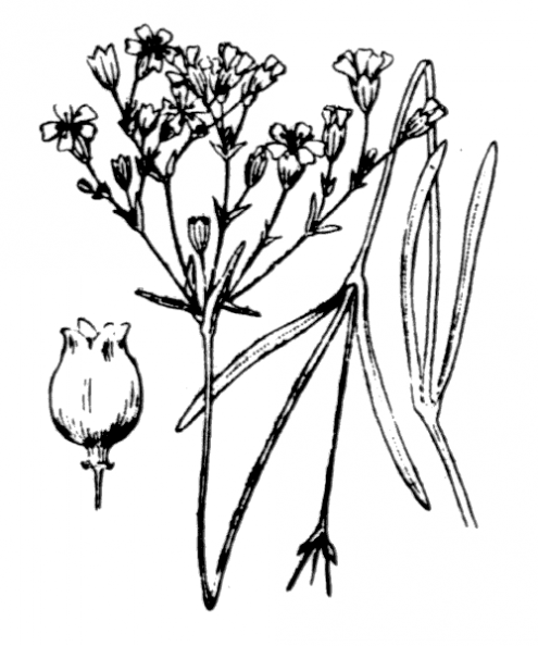 coste_0478.png