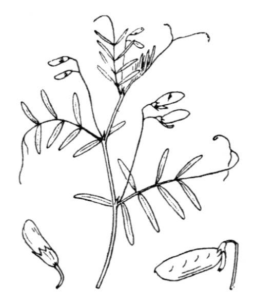 coste_1015.png
