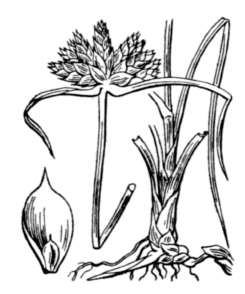 coste_3750.png