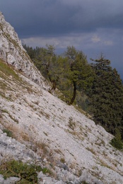 Chasseral, Les Roches