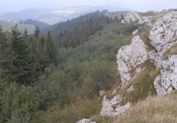 Arête de Chasseral