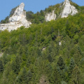 20070825_151045_goumois.jpg