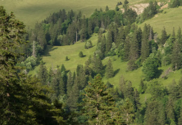 Petit Chasseral