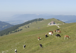 Chasseral