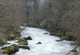 Le Doubs à La Goule