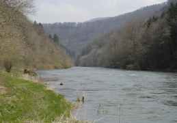 Le Doubs en aval de Soubey