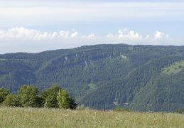 Falaises du Crêt du Soleil