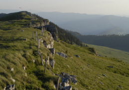 Arête sommitale de Chasseral