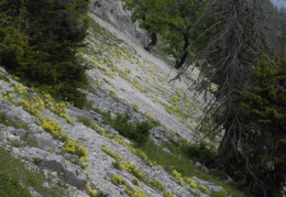 Chasseral, Les Roches au printemps