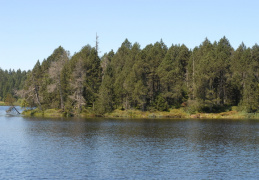 Etang de la Gruère