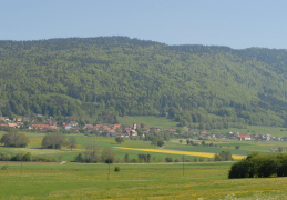 Village de Diesse