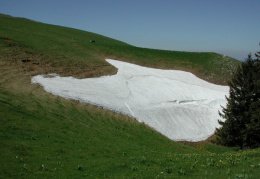 Petit Chasseral, combe enneigée