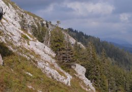 Chasseral, Les Roches