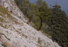 Chasseral, Les Roches