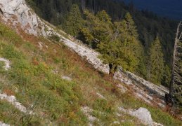 Chasseral, Les Roches