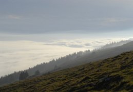 Chasseral, mer de brouillard