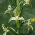 19990526_dia0442.jpg