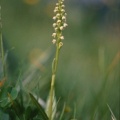 20030611_dia681_v02.jpg