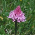 20040703_123636_nods_v02.jpg
