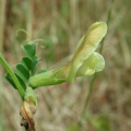20040803_115015_delle.jpg
